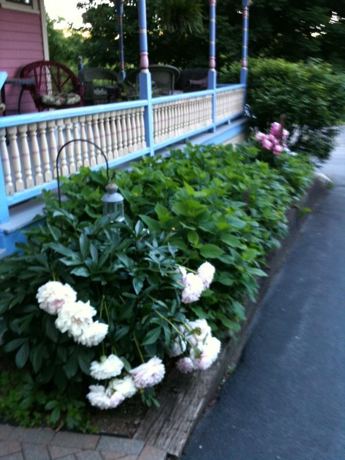 Rose & Thistle Bed & Breakfast Cooperstown Bagian luar foto